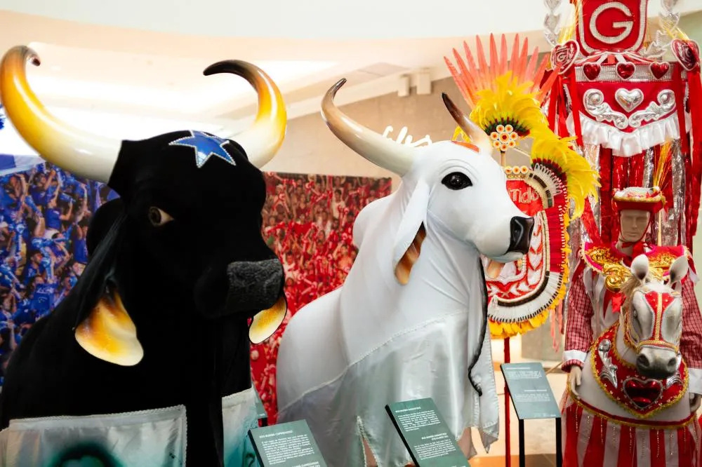 Exposição “Grandes Festivais da Amazônia” 